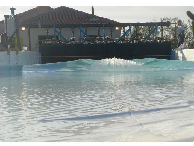 Waveyard Design | R&D Detail View 3